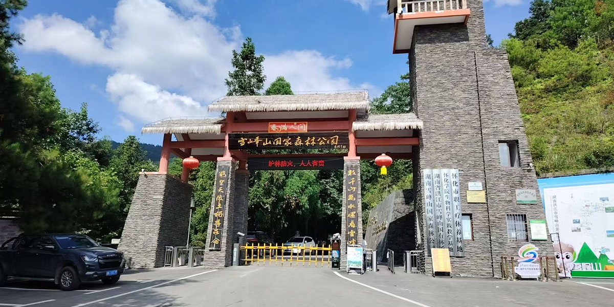 首页关于我们背景
